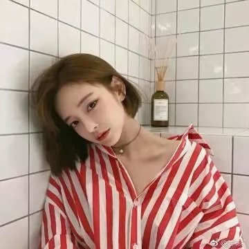 动物频道