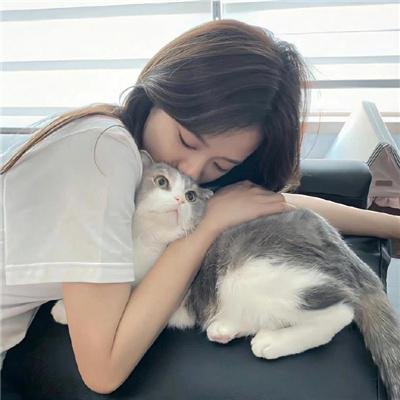 纸牌屋